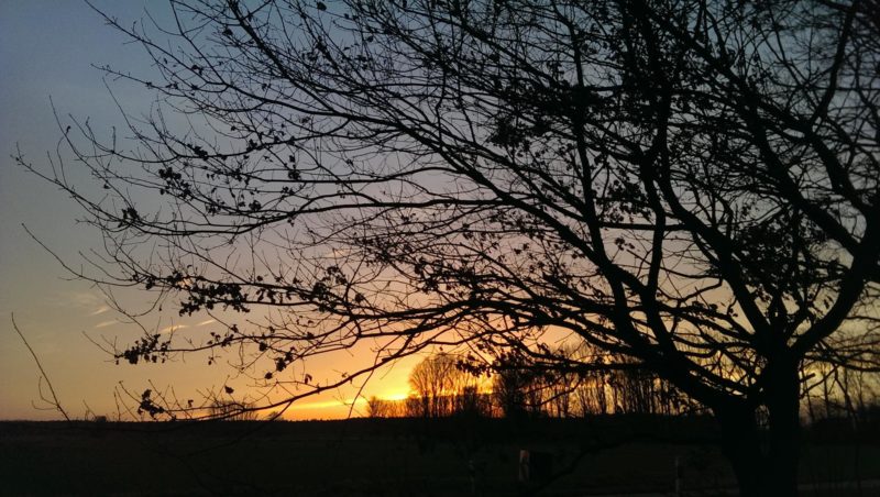 sundowner4_web