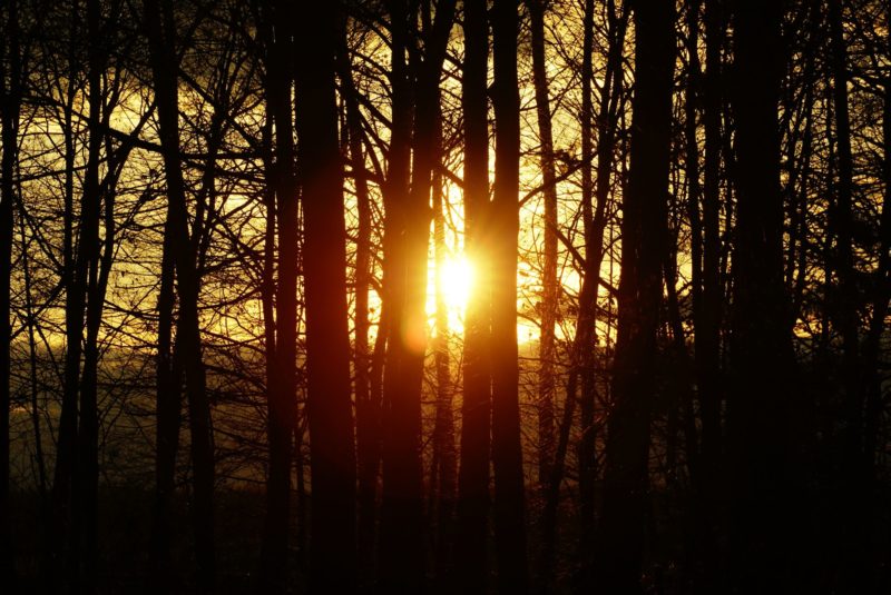 sundowner6_web